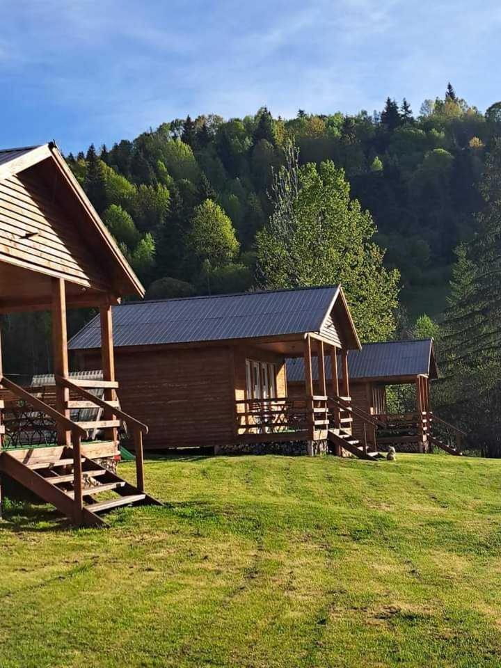 Cabane Areama Neagra Izvoru Mureşului المظهر الخارجي الصورة